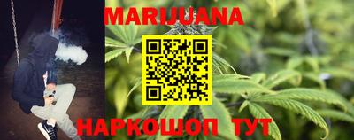 mdpv Краснознаменск