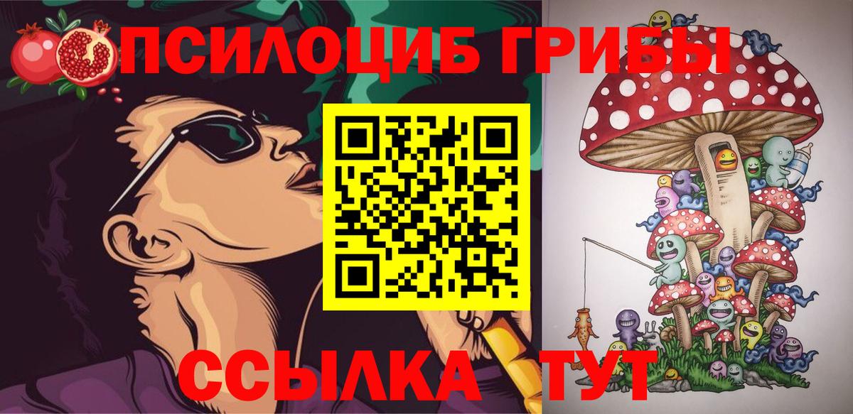 купить наркотик  Вход с VPN  Ишим  Галлюциногенные грибы прущие грибы 