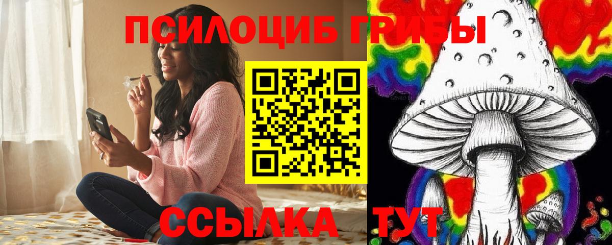 Галлюциногенные грибы Psilocybine cubensis Ишим